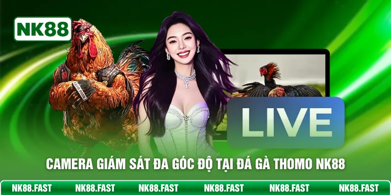 Đá Gà Thomo NK88 – Sàn Đấu Đẳng Cấp Cho Chiến Binh Lông Vũ Camera giám sát đa góc độ tại đá gà Thomo NK88